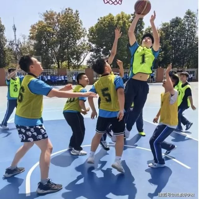 体育新闻热点追踪：数据视角揭秘背后趋势（bandao）